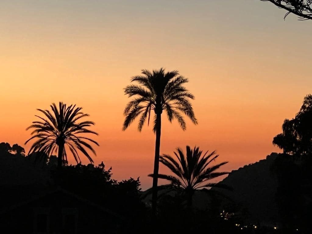 10 sypialnia Dom na sprzedaż w Soller z basenem garażem - 2 999 000 € (Ref: 8801405)