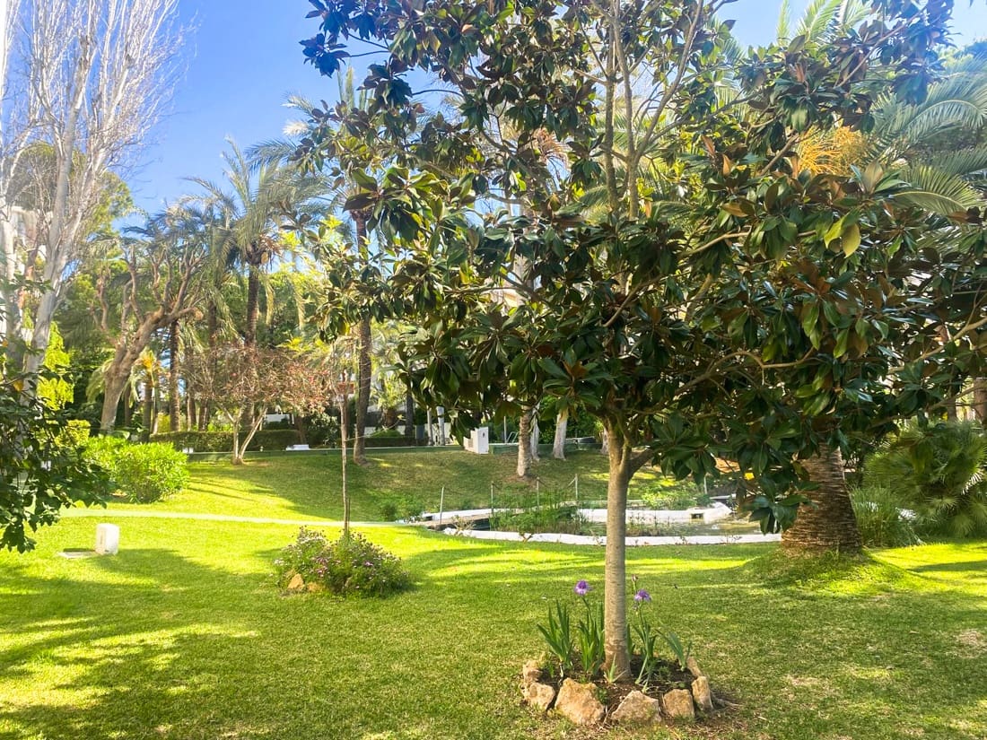 2 slaapkamer Flat te koop in Palma de Mallorca met zwembad garage - € 850.000 (Ref: 9075754)