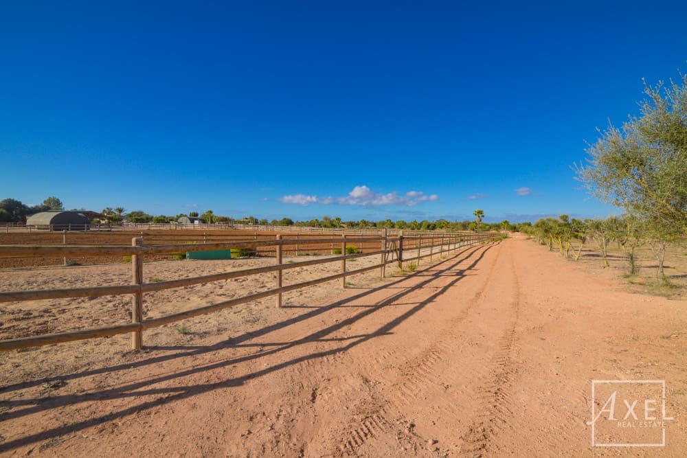 3 slaapkamer Finca/Landhuis te koop in Llucmajor met zwembad - € 6.300.000 (Ref: 9300752)