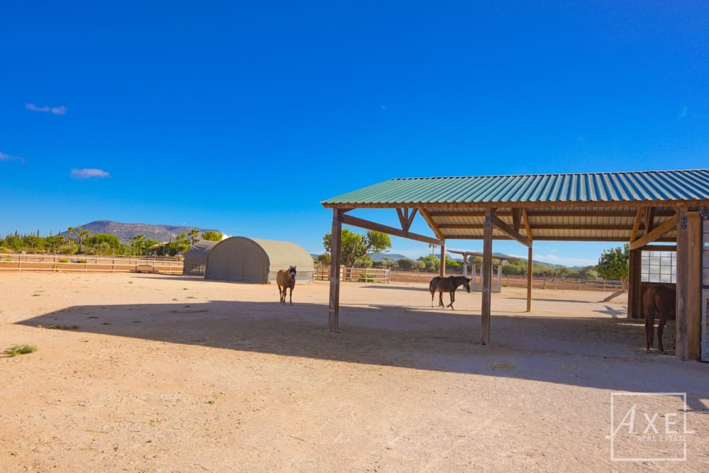 3 slaapkamer Finca/Landhuis te koop in Llucmajor met zwembad - € 6.300.000 (Ref: 9300752)