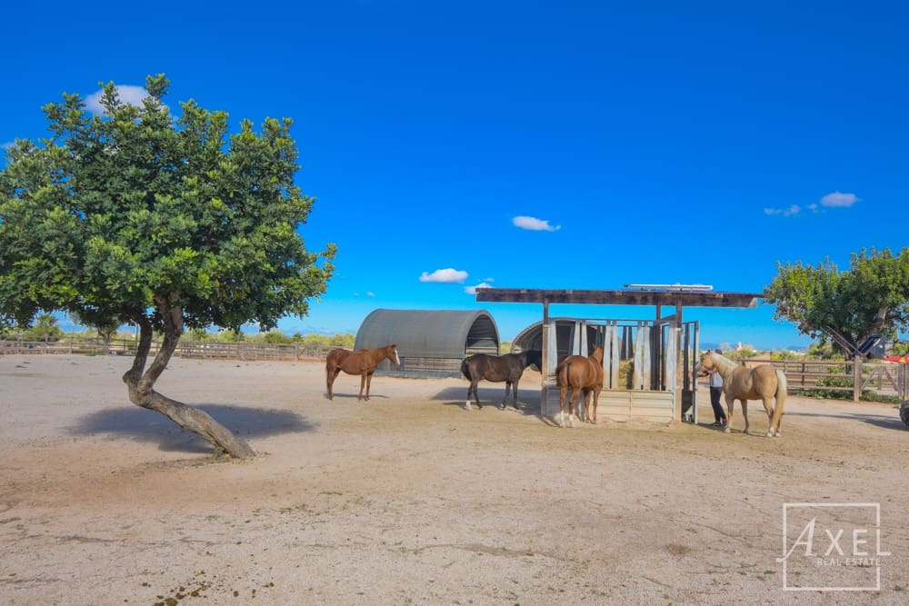 3 slaapkamer Finca/Landhuis te koop in Llucmajor met zwembad - € 6.300.000 (Ref: 9300752)