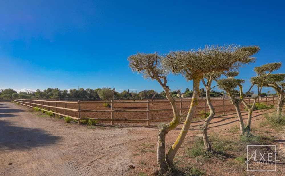 3 slaapkamer Finca/Landhuis te koop in Llucmajor met zwembad - € 6.300.000 (Ref: 9300752)