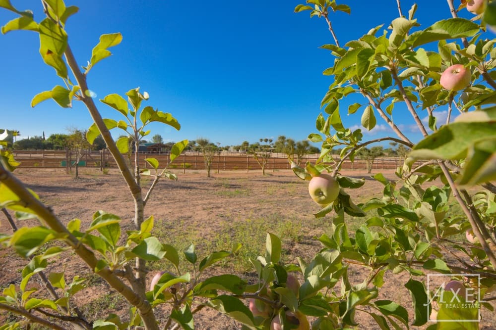 3 slaapkamer Finca/Landhuis te koop in Llucmajor met zwembad - € 6.300.000 (Ref: 9300752)