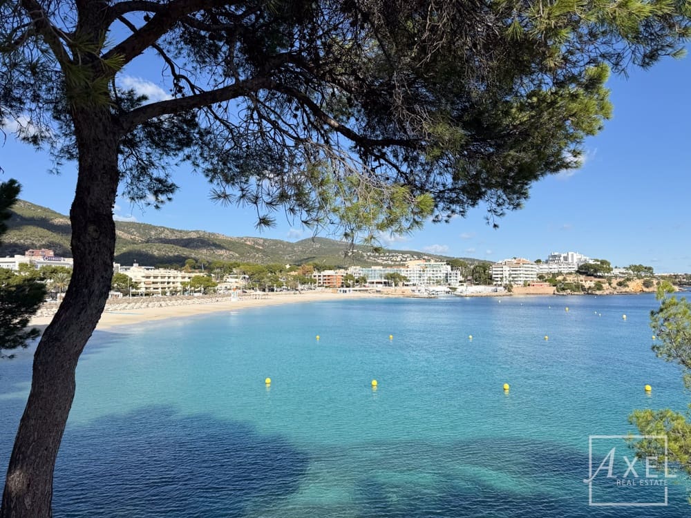 1 soveværelse Penthouse til salg i Palmanova med swimmingpool - € 449.000 (Ref: 9407988)