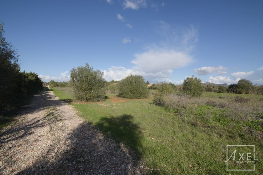 4 Zimmer Finca/Landgut zu verkaufen in Llucmajor mit Pool - 860.000 € (Ref: 9419106)