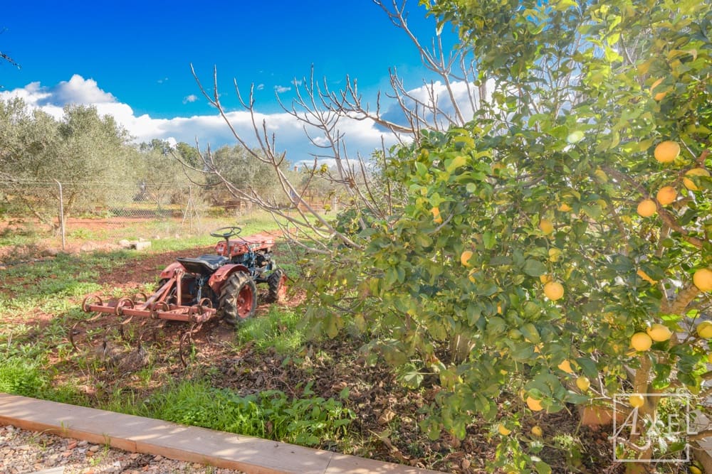 4 Zimmer Finca/Landgut zu verkaufen in Llucmajor mit Pool - 860.000 € (Ref: 9419106)