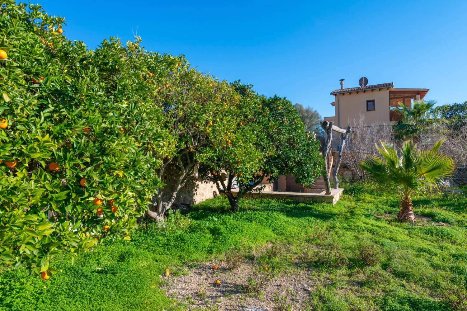 3 slaapkamer Finca/Landhuis te koop in Llucmajor met zwembad - € 635.000 (Ref: 9481914)