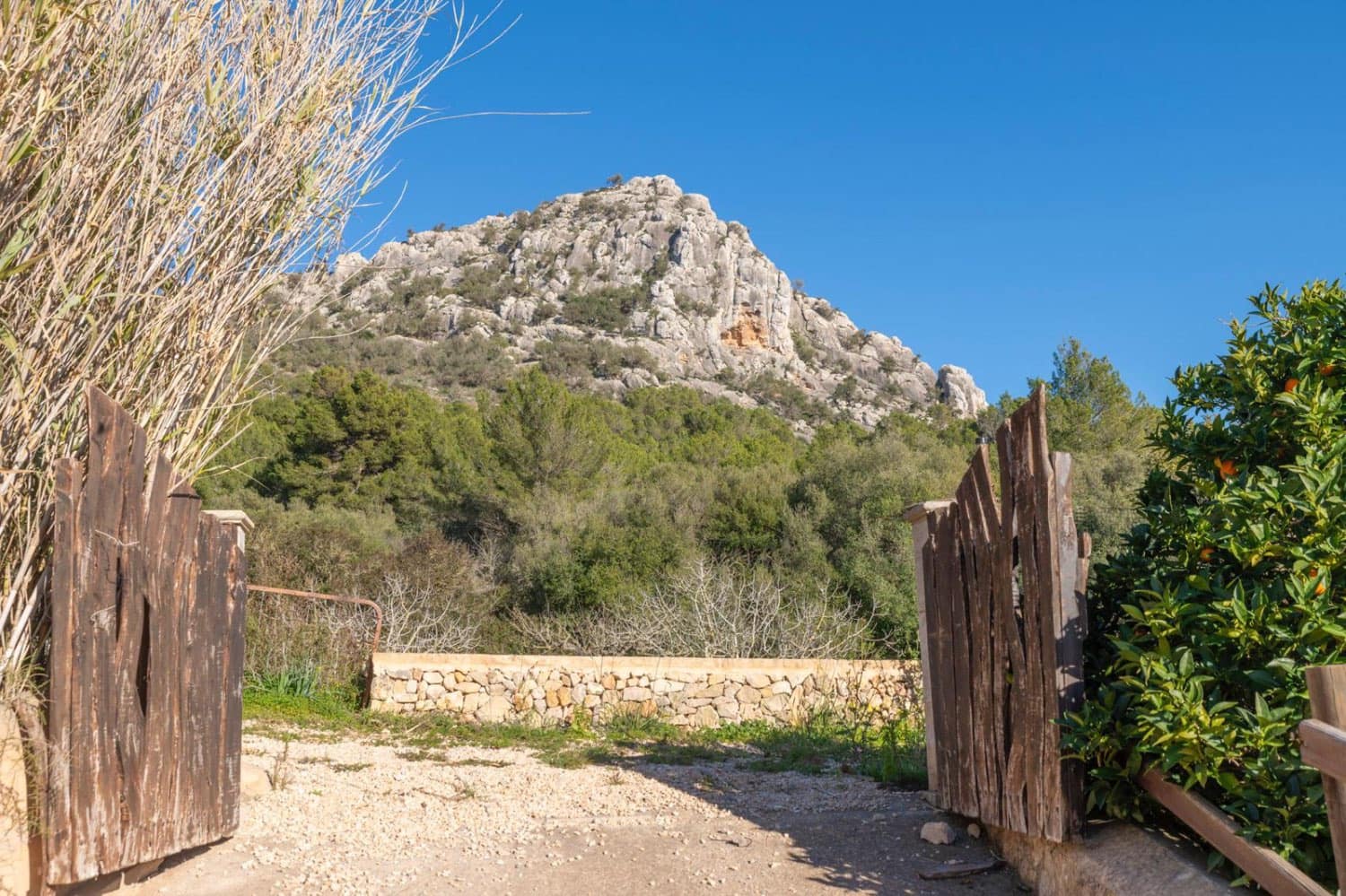 3 slaapkamer Finca/Landhuis te koop in Llucmajor met zwembad - € 635.000 (Ref: 9481914)