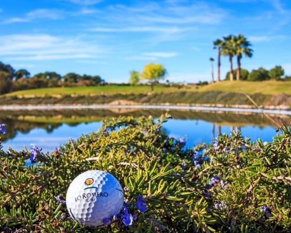 3 chambre Villa/Maison à vendre à Pilar de la Horadada avec piscine - 698 000 € (Ref: 8200665)