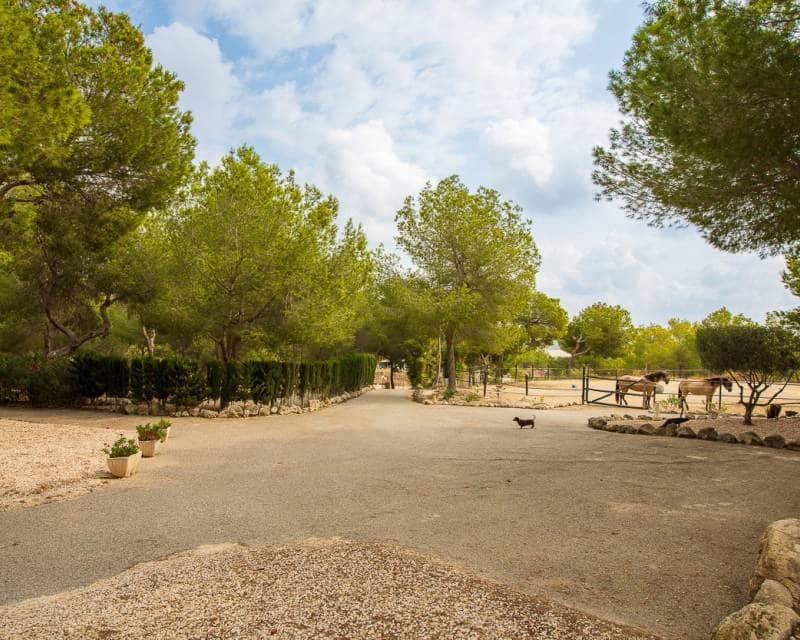 4 bedroom Finca/Country House for sale in Torremendo with pool - € 575,000 (Ref: 9191438)