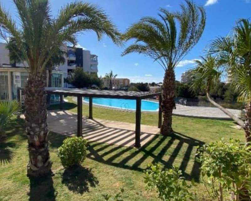 3 Zimmer Apartment zu verkaufen in Villamartin mit Pool - 320.000 € (Ref: 9331053)