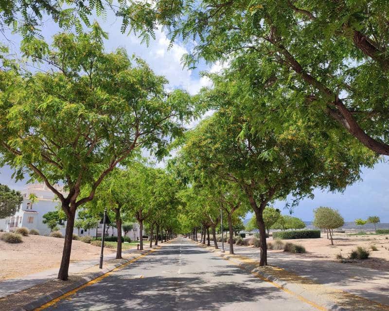 2 soveværelse Lejlighed til salg i Sucina - € 179.999 (Ref: 9722675)