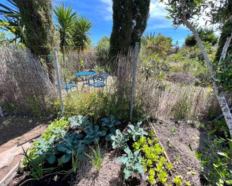 2 makuuhuone Maalaistalo myytävänä paikassa Cartagena mukana uima-altaan - 259 500 € (Ref: 9748231)