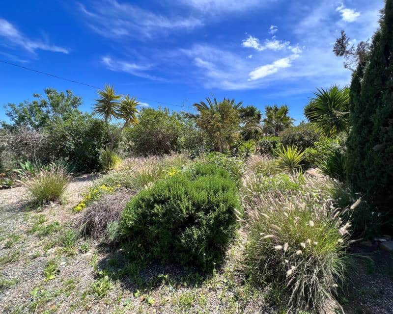 2 makuuhuone Maalaistalo myytävänä paikassa Cartagena mukana uima-altaan - 259 500 € (Ref: 9748231)