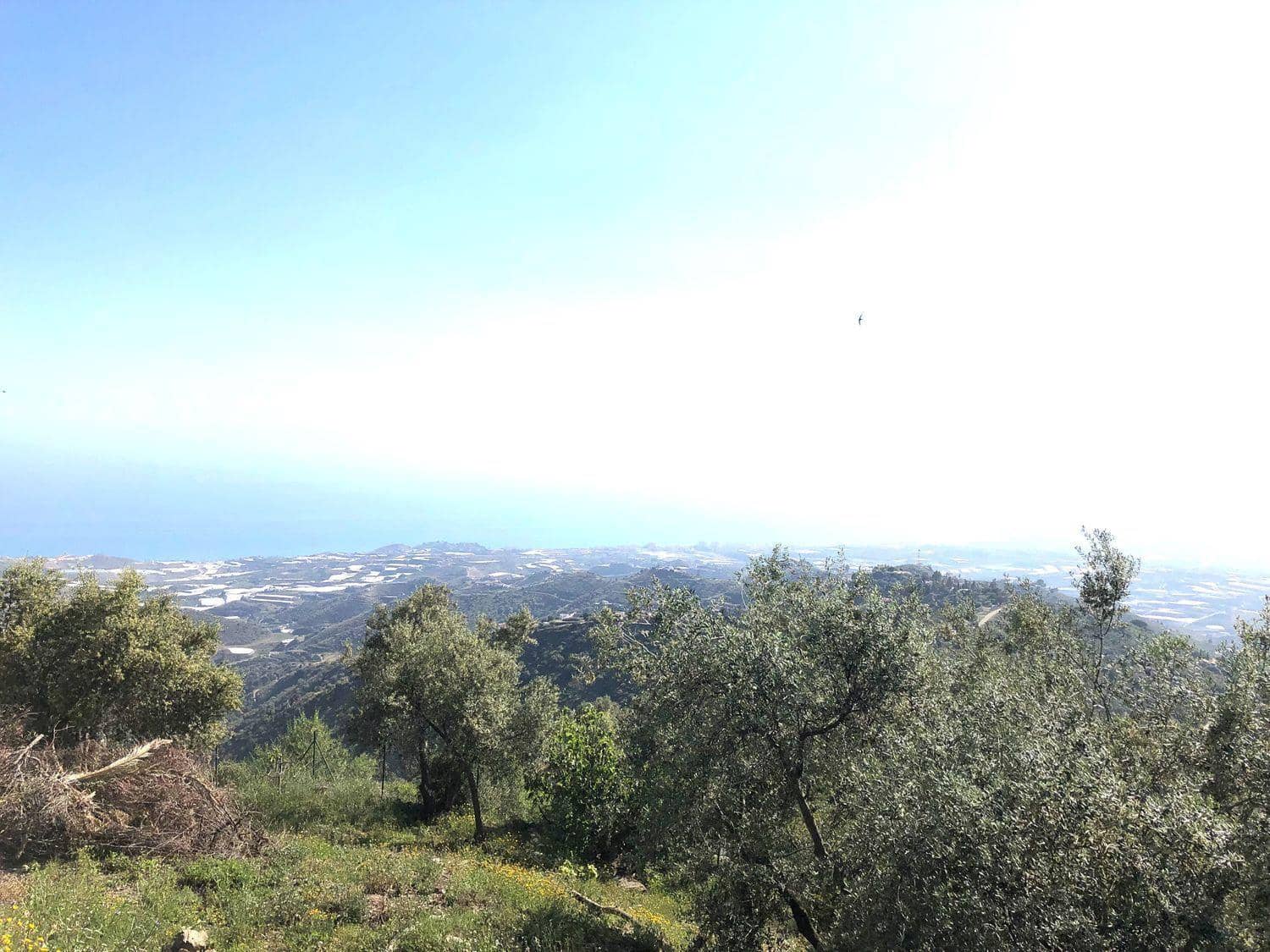 3 soveværelse Villa til salg i Sayalonga med swimmingpool - € 1.200.000 (Ref: 5926861)