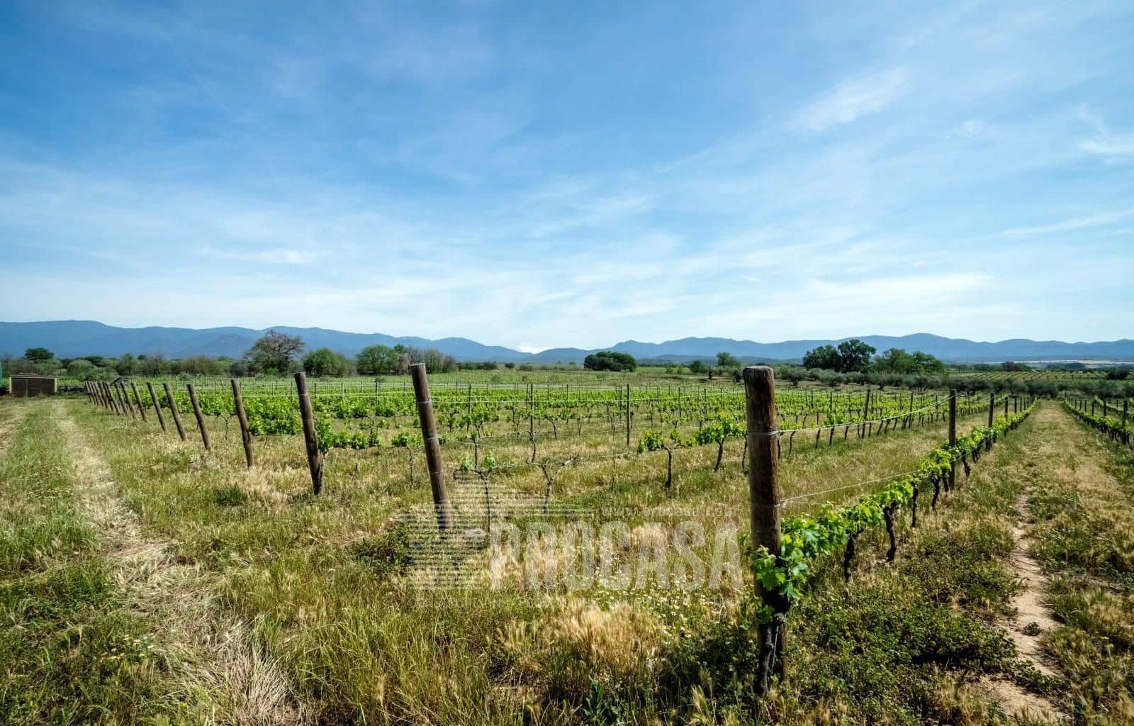 3 soverom Villa til salgs i Masarac med svømmebasseng garasje - € 975 000 (Ref: 8209875)