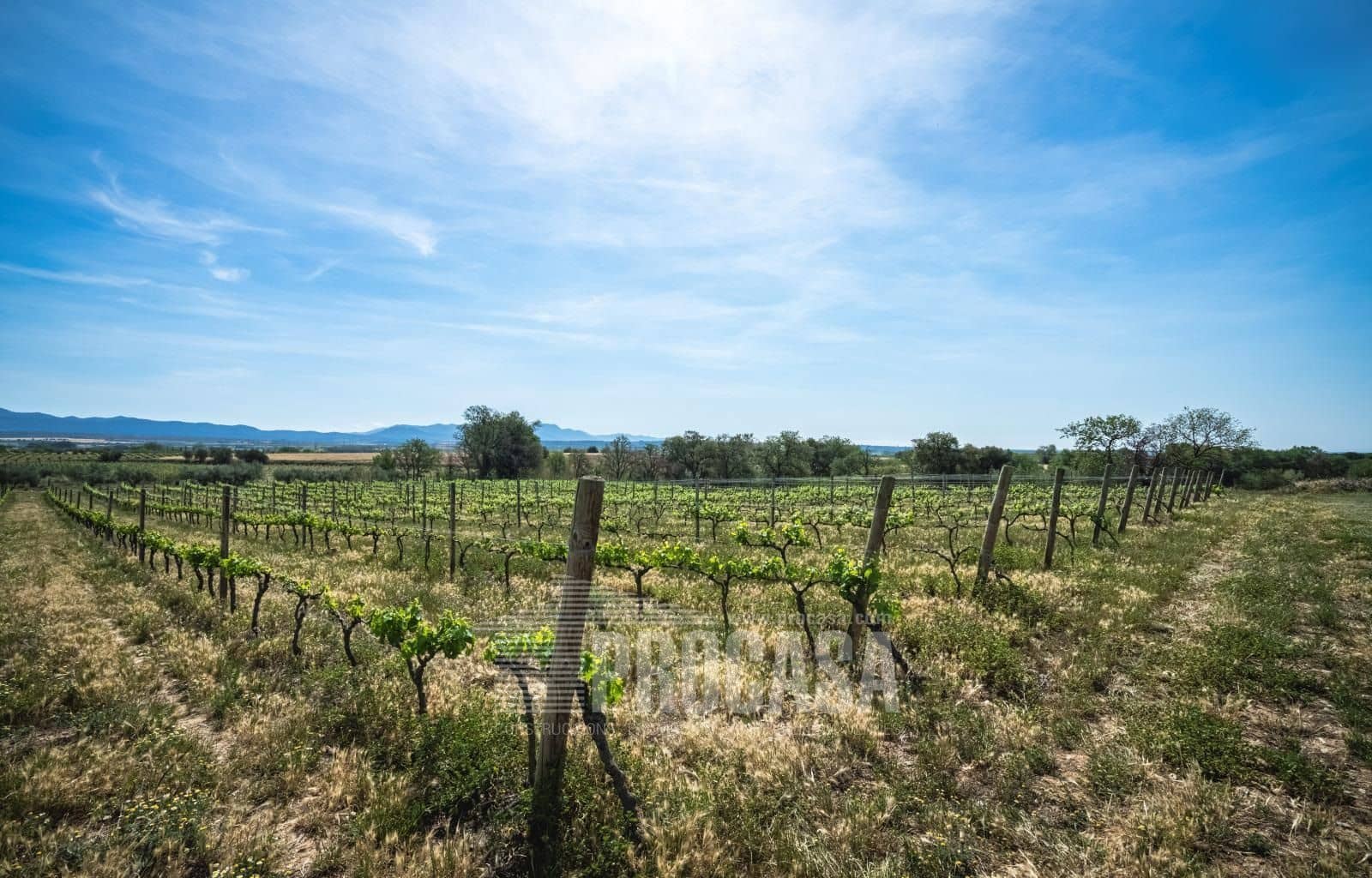 3 soverom Villa til salgs i Masarac med svømmebasseng garasje - € 975 000 (Ref: 8209875)