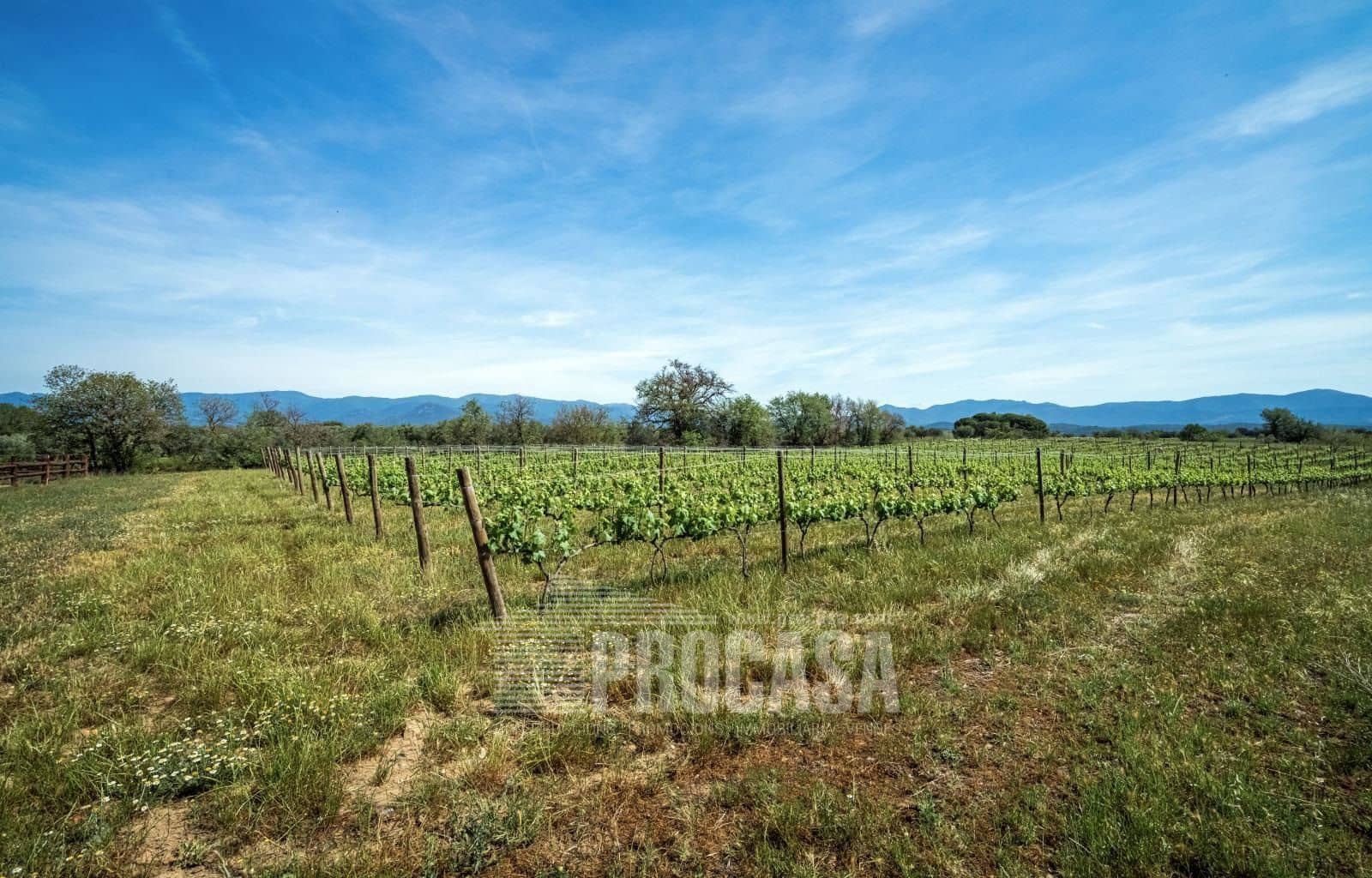 3 soverom Villa til salgs i Masarac med svømmebasseng garasje - € 975 000 (Ref: 8209875)