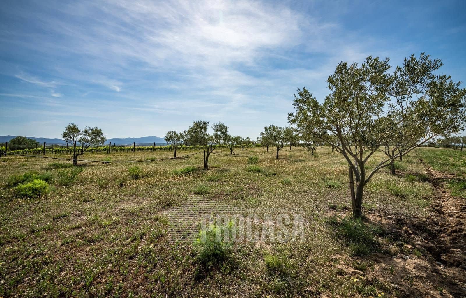 3 soverom Villa til salgs i Masarac med svømmebasseng garasje - € 975 000 (Ref: 8209875)