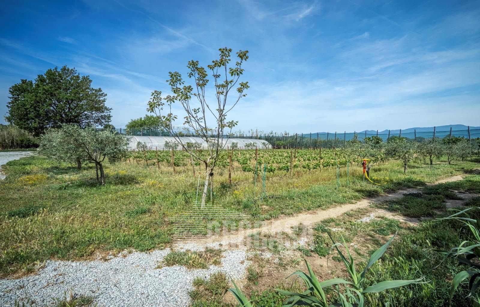 3 soverom Villa til salgs i Masarac med svømmebasseng garasje - € 975 000 (Ref: 8209875)