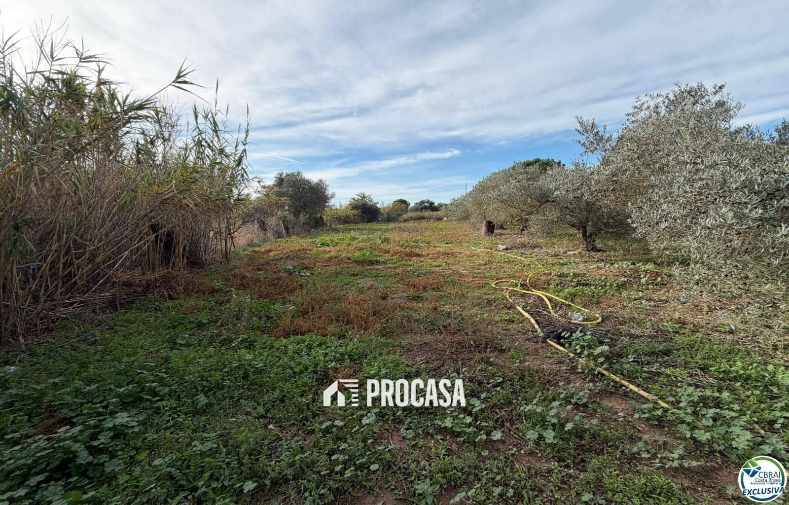 Tomt till salu i Roses - 110 000 € (Ref: 9386163)