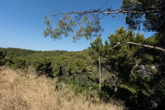 Ubebygd land til salgs i Javea / Xàbia - € 150 000 (Ref: 9306649)