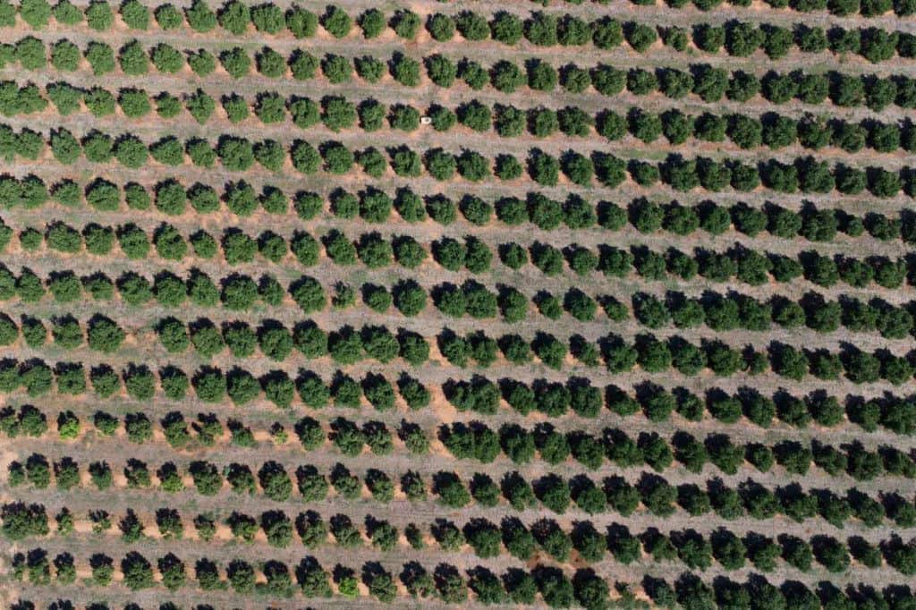 Finca/Herregård til salgs i Denia - € 680 000 (Ref: 9306686)