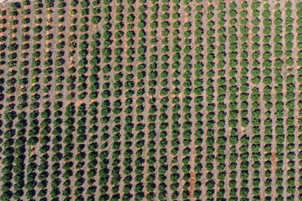 Finca/Herregård til salgs i Denia - € 680 000 (Ref: 9306686)