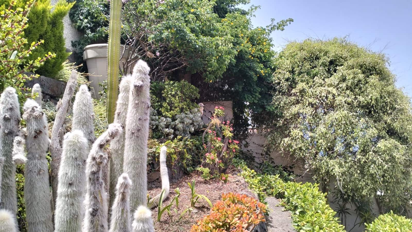 Bungalow de 2 habitaciones en Tacoronte en venta con garaje - 250.000 € (Ref: 9974697)