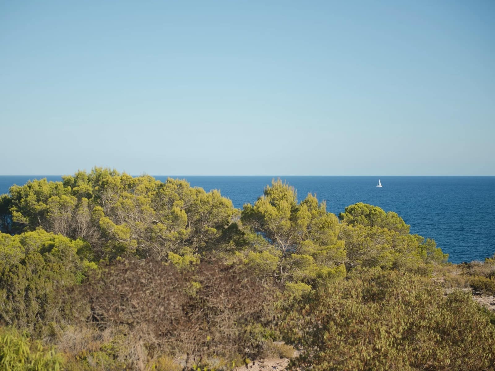 3 slaapkamer Villa te koop in Cap De Barbaria met zwembad garage - € 3.250.000 (Ref: 8464267)