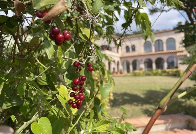 5 makuuhuone Huvila myytävänä paikassa Castell-Platja d'Aro mukana uima-altaan 
autotalli - 1 250 000 € (Ref: 8464273)