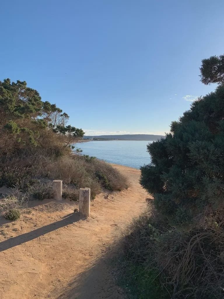 8 sypialnia Willa na sprzedaż w Platja de Migjorn z basenem garażem - 4 500 000 € (Ref: 8464287)