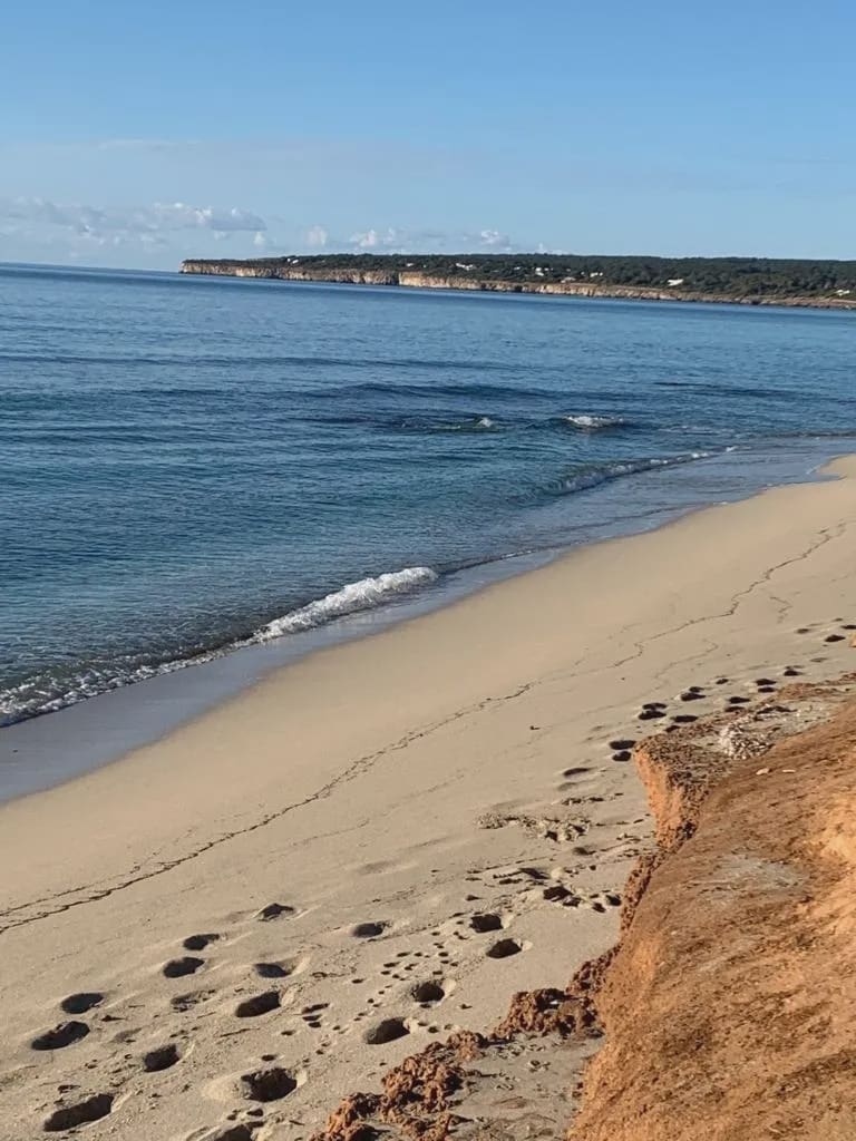 8 sypialnia Willa na sprzedaż w Platja de Migjorn z basenem garażem - 4 500 000 € (Ref: 8464287)