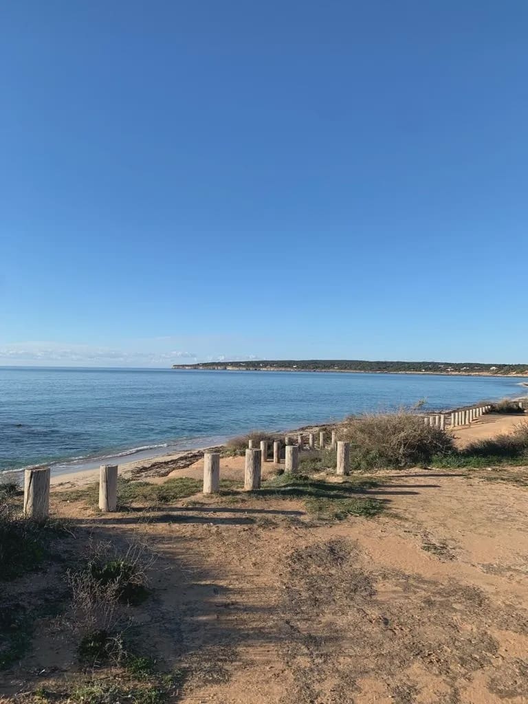 8 sypialnia Willa na sprzedaż w Platja de Migjorn z basenem garażem - 4 500 000 € (Ref: 8464287)