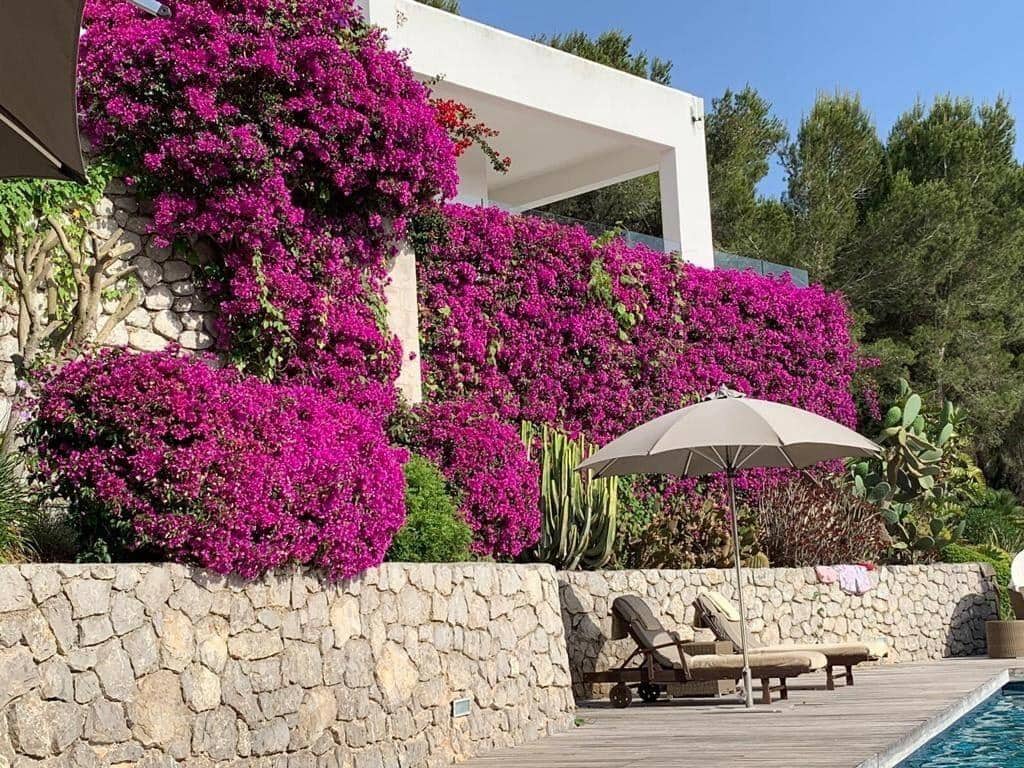 5 soveværelse Villa til salg i Cala Jondal med swimmingpool garage - € 5.550.000 (Ref: 8464296)