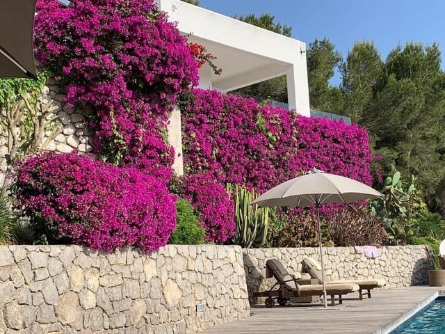 5 soveværelse Villa til salg i Cala Jondal, San Jose / Sant Josep de Sa Talaia med swimmingpool garage - € 5.550.000 (Ref: 8464296)