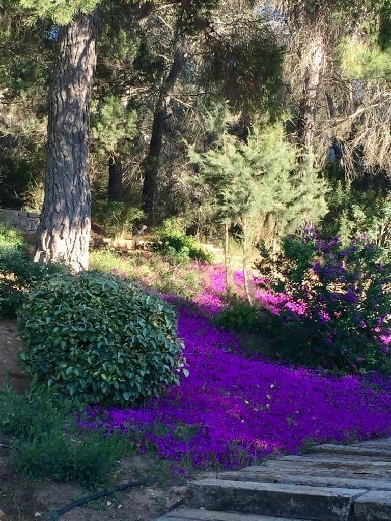 5 soveværelse Villa til salg i Cala Jondal med swimmingpool garage - € 5.550.000 (Ref: 8464296)