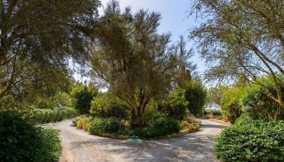 6 soveværelse Villa til salg i Sant Carles de Peralta med swimmingpool garage - € 6.900.000 (Ref: 8464298)