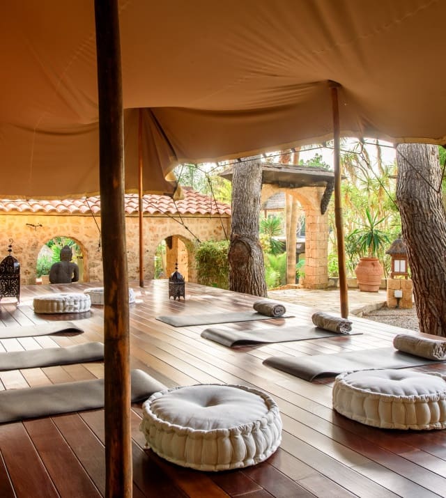 15 bedroom Villa for sale in Cap Martinet with pool garage - € 5,250,000 (Ref: 8464301)