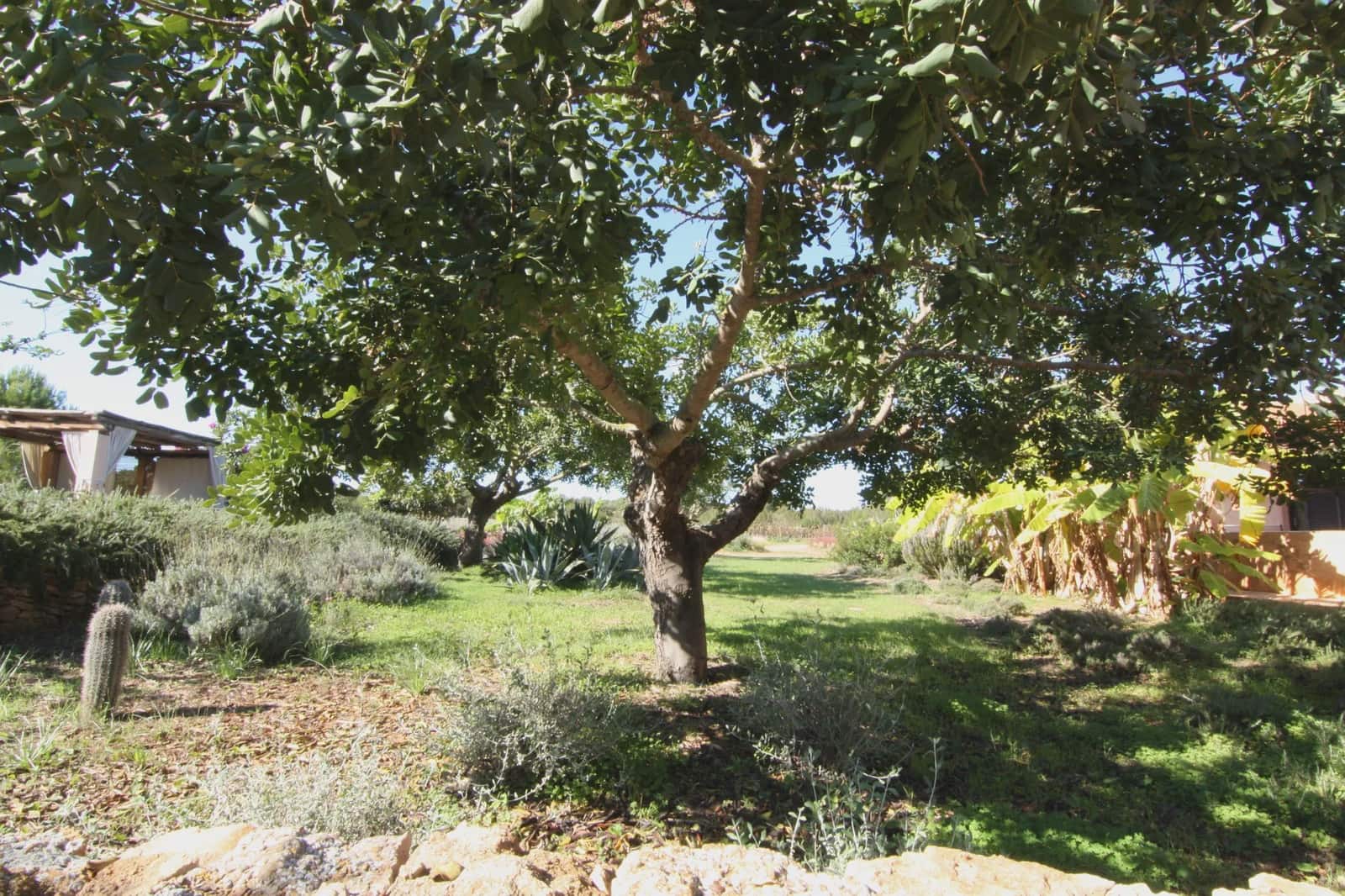 5 soverom Villa til salgs i Platja de Migjorn med svømmebasseng garasje - € 4 900 000 (Ref: 8464305)