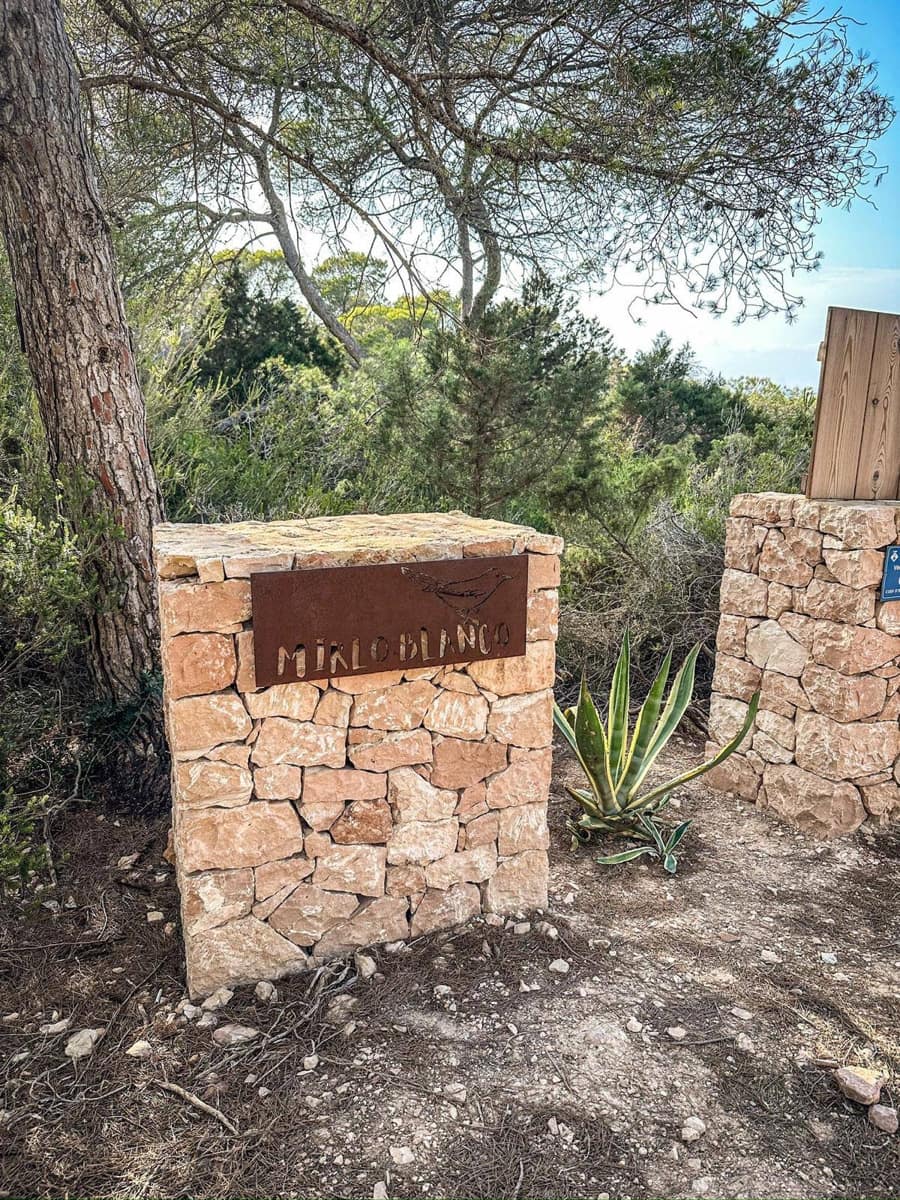 6 soverom Villa til salgs i Formentera kommune med svømmebasseng garasje - € 11 900 000 (Ref: 8464312)