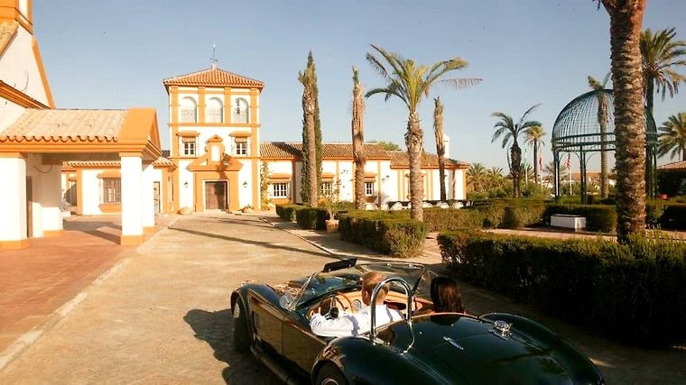 26 soveværelse Finca/Landehus til salg i Sevilla by med swimmingpool garage - € 18.000.000 (Ref: 8464356)