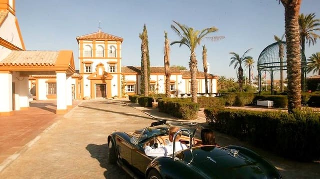 26 soveværelse Finca/Landehus til salg i Sevilla by med swimmingpool garage - € 18.000.000 (Ref: 8464356)