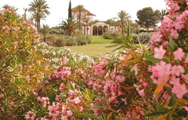 26 soveværelse Finca/Landehus til salg i Sevilla by med swimmingpool garage - € 18.000.000 (Ref: 8464356)