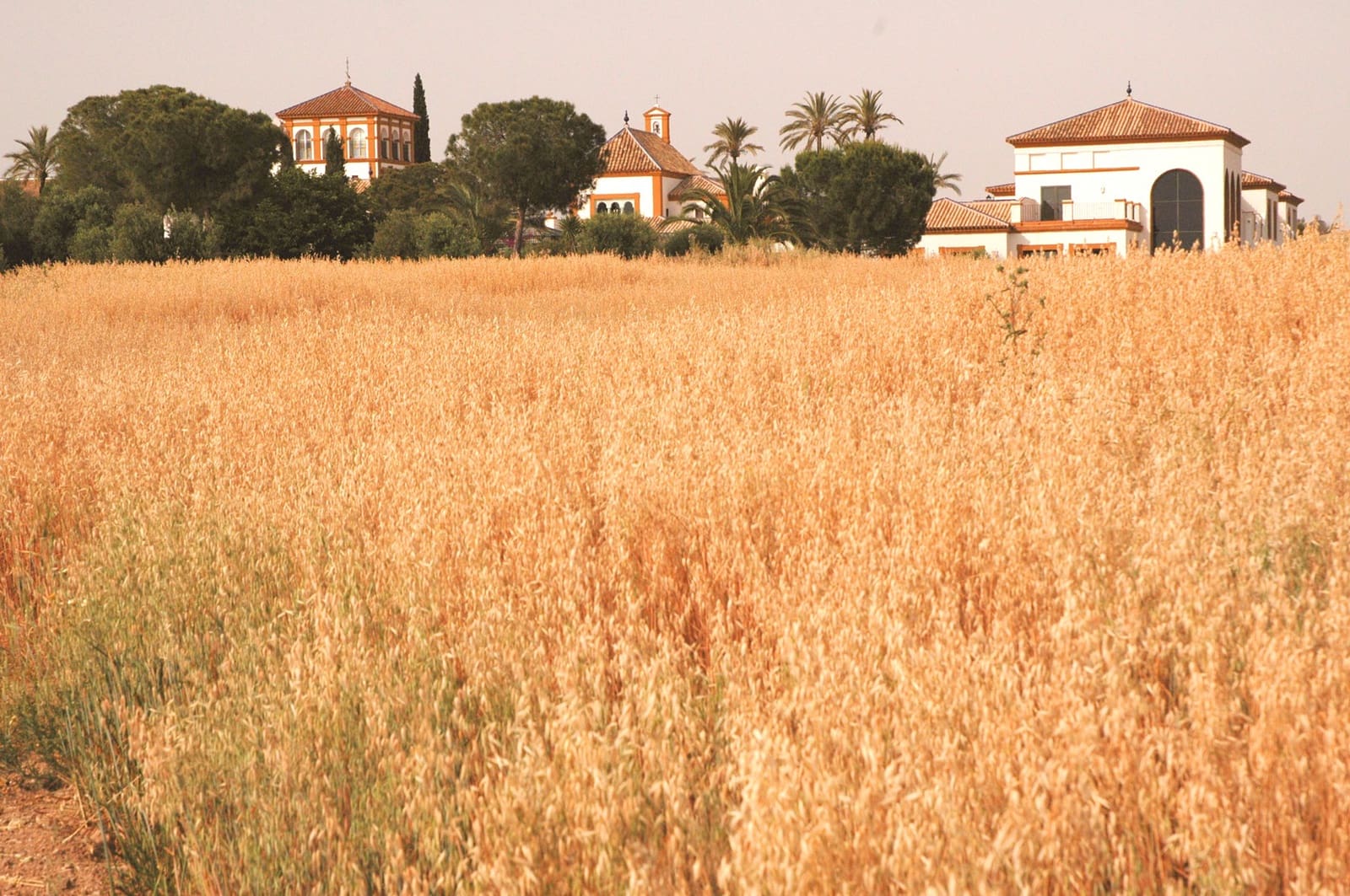 26 soveværelse Finca/Landehus til salg i Sevilla by med swimmingpool garage - € 18.000.000 (Ref: 8464356)