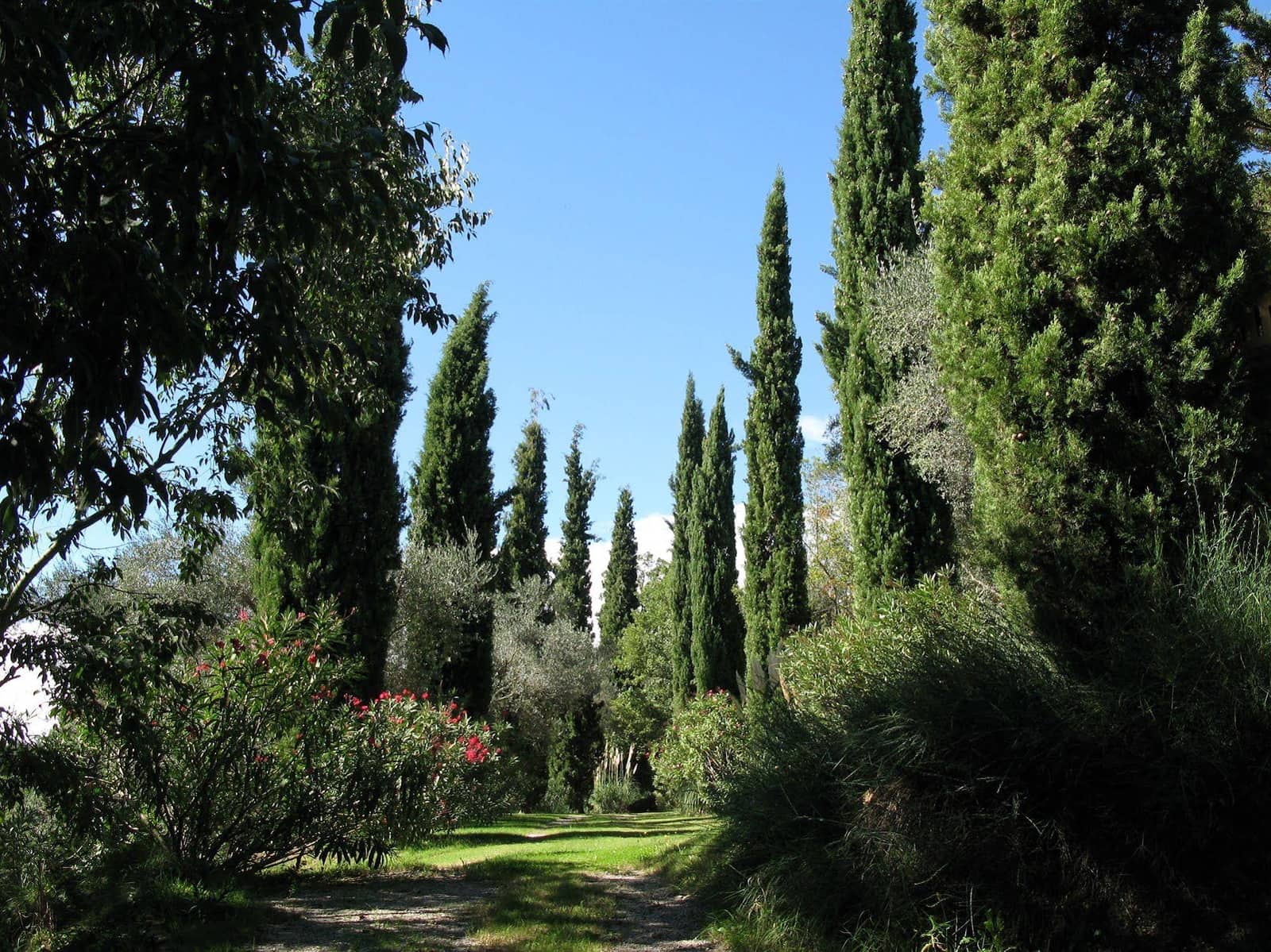 11 soveværelse Finca/Landehus til salg i Besalu med swimmingpool garage - € 2.250.000 (Ref: 8464381)