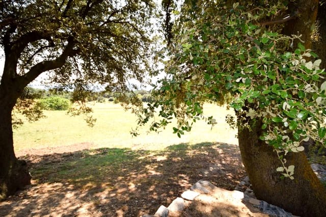 9 sypialnia Finka/Dom wiejski na sprzedaż w Miasto Girona z basenem garażem - 2 400 000 € (Ref: 8464392)