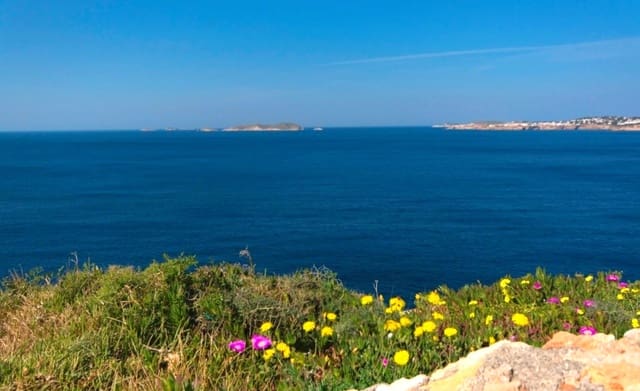 8 soverom Villa til salgs i Caló d'en Real, San Jose / Sant Josep de Sa Talaia med svømmebasseng garasje - € 9 600 000 (Ref: 8464397)