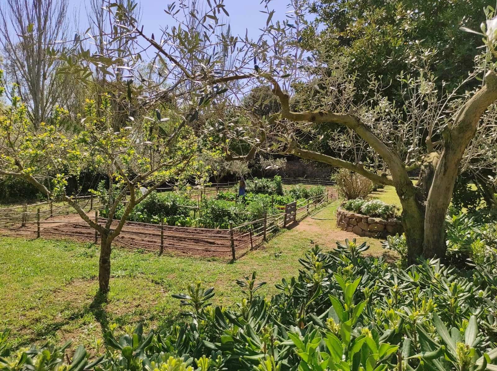 5 soverom Finca/Herregård til salgs i Sant Feliu de Guixols med svømmebasseng garasje - € 1 950 000 (Ref: 8464402)