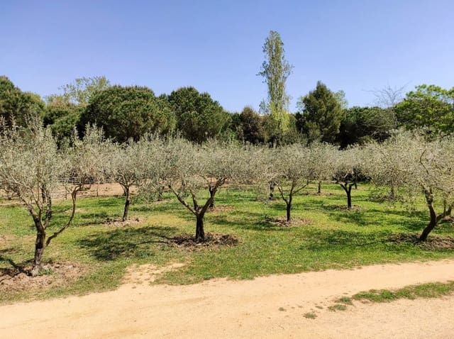 5 sypialnia Finka/Dom wiejski na sprzedaż w Sant Feliu de Guíxols z basenem garażem - 1 950 000 € (Ref: 8464402)